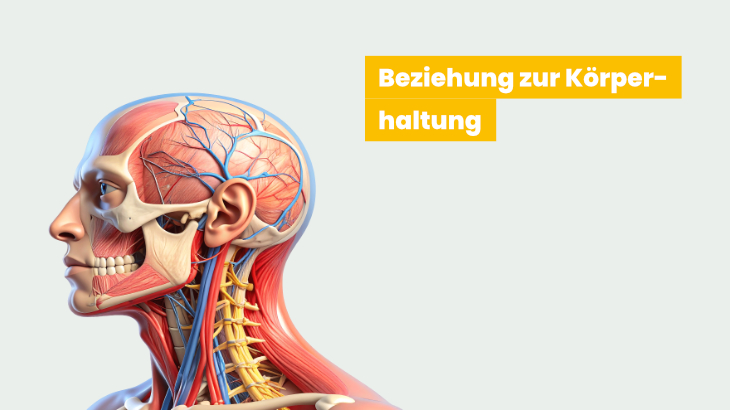 Das cranio-oro-cervicale System