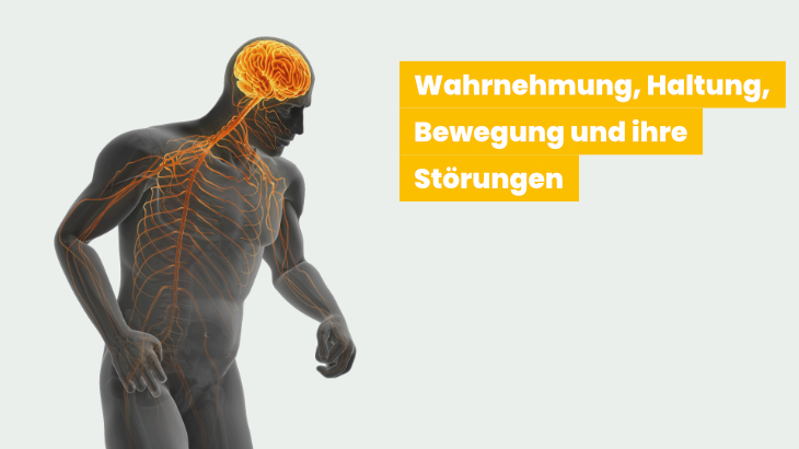 Funktionelle Neuroanatomie der Motorik und ihre Störungen (1)