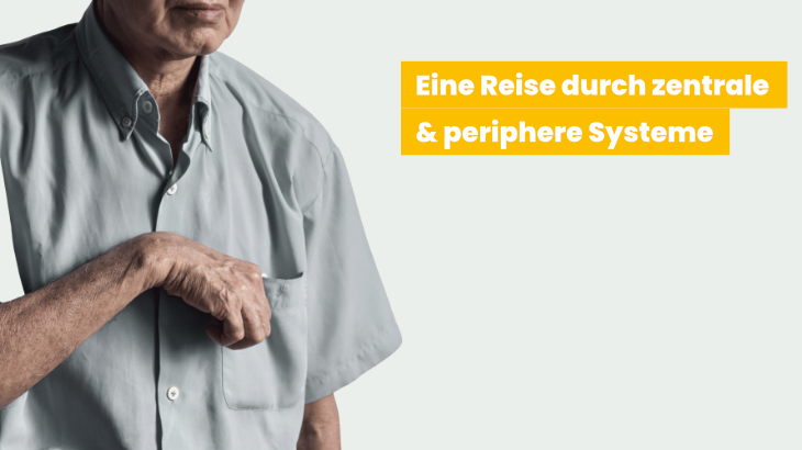 Gehirn und Spastizität