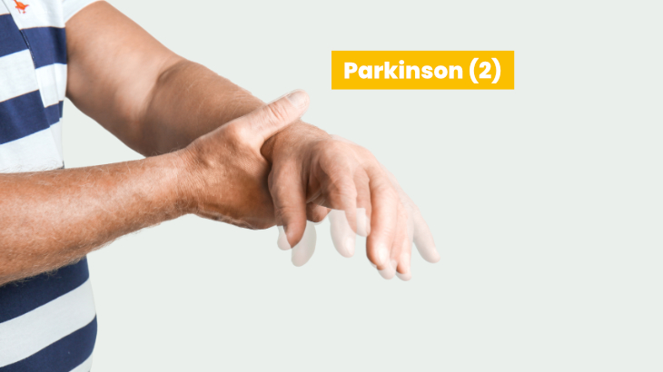 Parkinson Teil II: Eine neurometabolische und ernährungsmedizinische Sicht